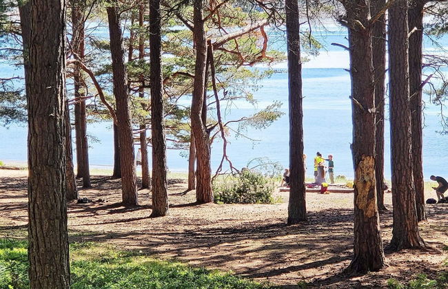 7 Person Holiday Home in Vesteroy-by Traum - Foto 18