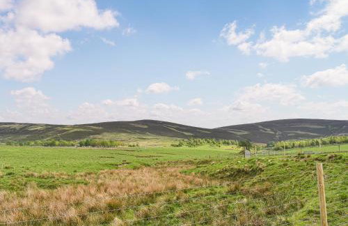 Mid Bellandy - Foto 24