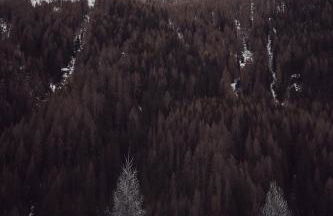 Apartments Knappenhof Pfitsch - with Swimming Pool - Foto 23