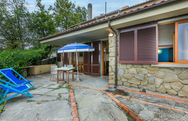 Agrifoglio - Photo 8