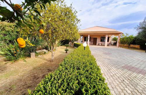 Villa del Mandorlo - Photo 1