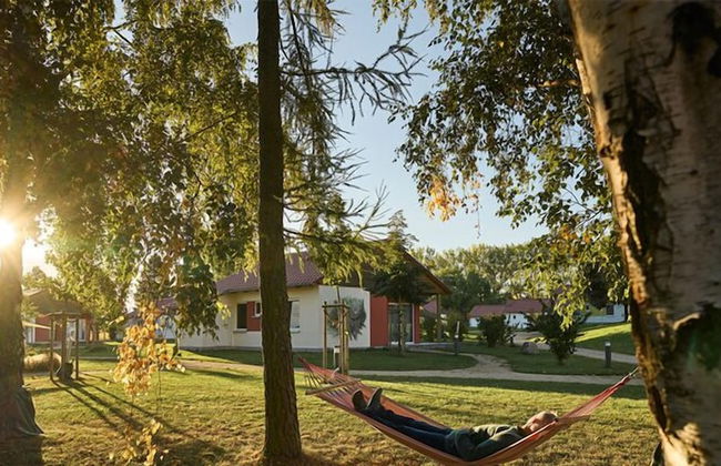 WaldResort - Am Nationalpark Hainich - Foto 21