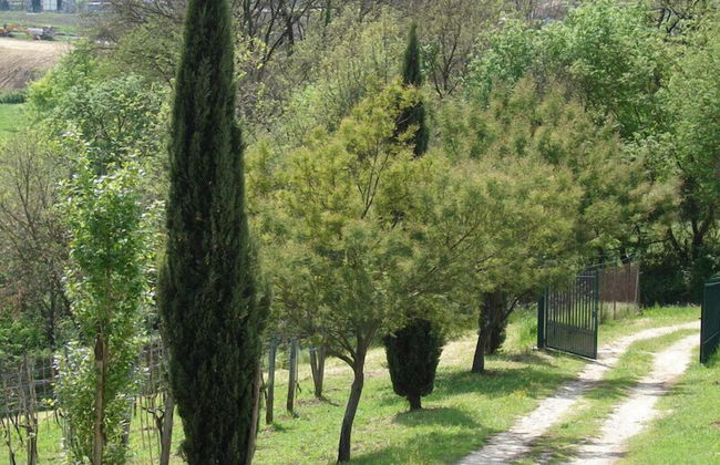 Agriturismo Terrasabina - Foto 45