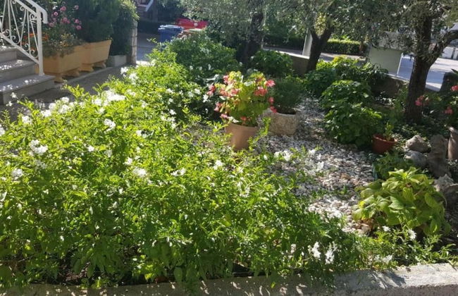 Dorica - Flower Garden - A1 - Foto 12