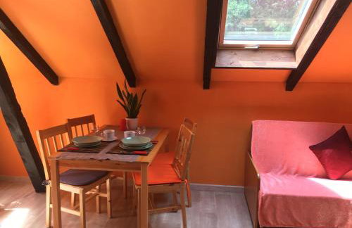 Agroturystyka Pod Dębami w Klukach - Foto 11