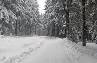 Im alten Kino - Foto 30