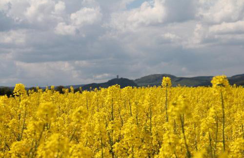 Ferienwohnung Brohltal-Aue - Foto 30