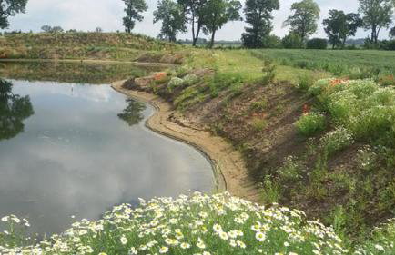 Orzechowy Dworek - Foto 20