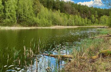 Domek nad jeziorem Guzowy Piec - Foto 15