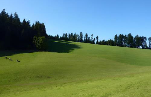 Haus Harter - Foto 16