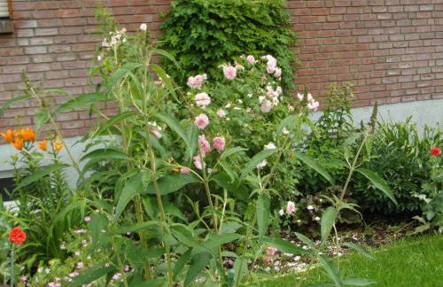 Ferienwohnung Borchert - Foto 38