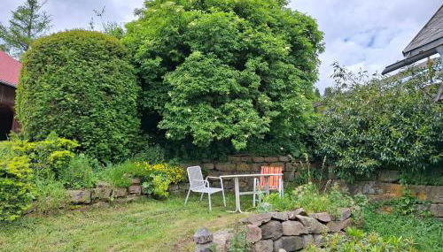 Schwarzwaldblick - Foto 4