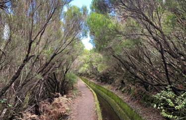 The Green Valley House - Foto 69