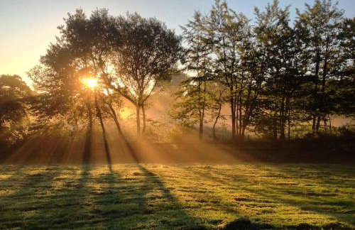 Holsworthy Holiday Cottages - Foto 11