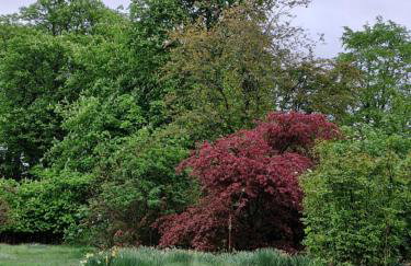 The Bungalow - Ardullie Lodge - Photo 30