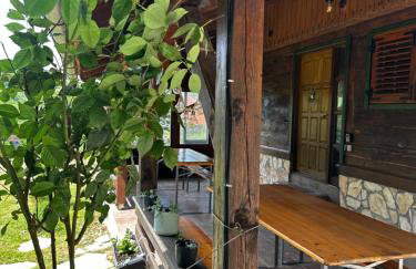 Kuća za odmor Zora - Foto 5