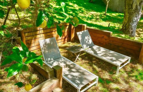 Hollywood Hills Spa Retreat Oasis with Tree Top Views, Private Jacuzzi Style Tub, Steam Room, Magical Half Acre Acre Garden and Patio, Free Parking for 2 cars, in LA's most Serene, Central Desirable Area - Foto 58