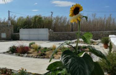 Desire Mykonos Apartments - Foto 82