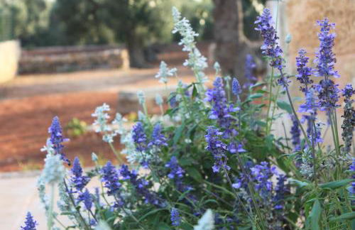 Agriturismo Vòioro - Foto 28