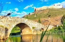 Donde Elvira - Foto 36