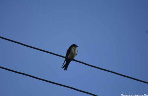 A Casinha Lumiar - Foto 53