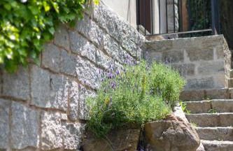 Les Planes de Viladrau - Foto 22