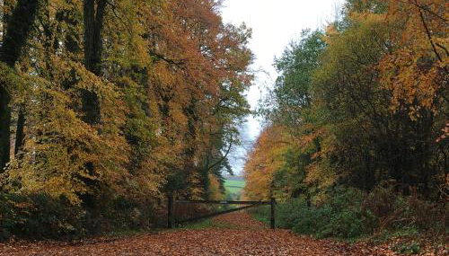 Meadow Sweet Cottage - Foto 3