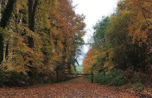 Meadow Sweet Cottage - Photo 3