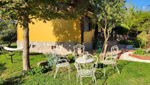 Rincón de Madagascar VV-2192-AS - Foto 5, Garden