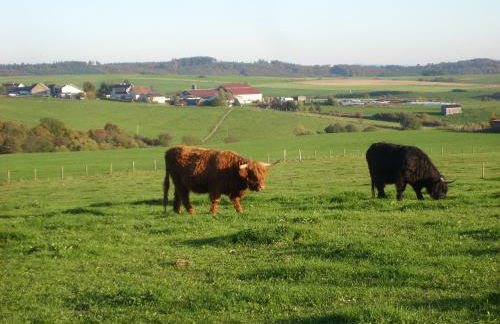 Ferienhaus Freilingen 74 - Photo 28