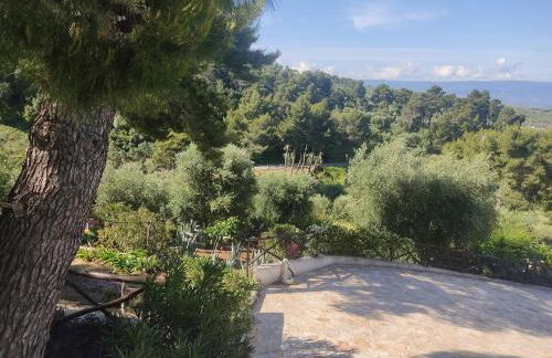 Lunamora 4 - Foto 44