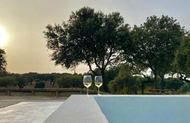 Casas do Apeadeiro de Evoramonte - Foto 13