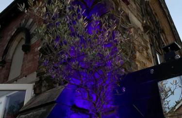 Chapter Two - Melbourne - Foto 23