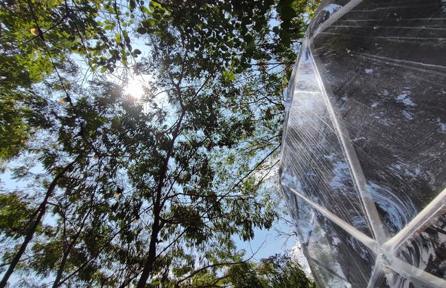 Glamping romantico en Vista Hermosa - Foto 43