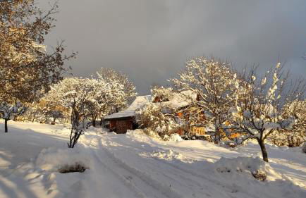 Chalet Mounette Ski Sauna Lac Embrun - Photo 2