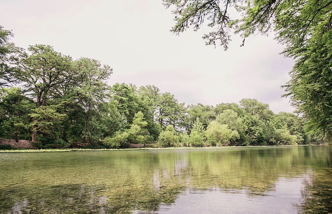 Frio River Cabins - Photo 59