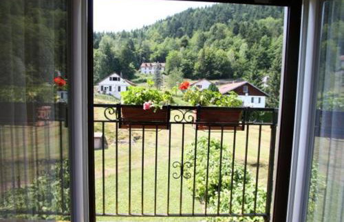 Gîte familial aux Vosges avec jeux pour enfants, à proximité de la nature et activités sportives - FR-1-589-111 - Foto 12