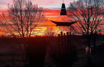 Golden Valley apartment & ranch - Foto 22