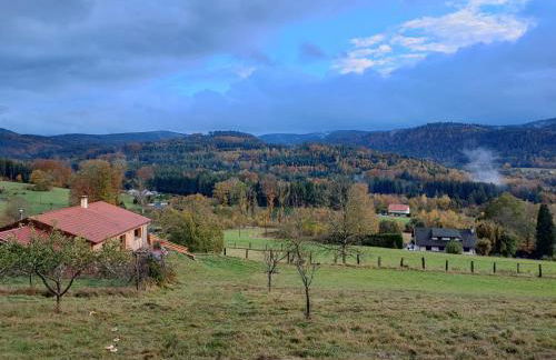 Refuge au coeur des Vosges - Foto 19