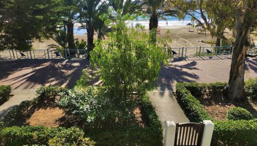 Amanece junto al mar - Casita Marino - Foto 3, Garden view