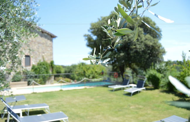 Podere San Quirico - Foto 20