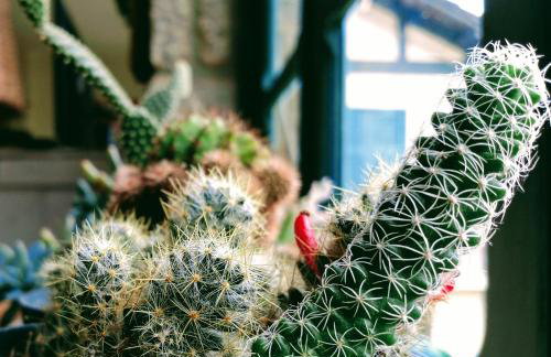 Residencial Flor- Hilda - Foto 18