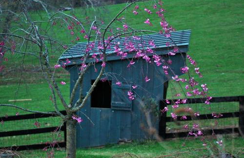 Villa Maud - Foto 60