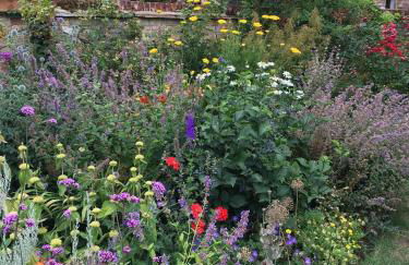 Oak-Island Hall - Foto 25