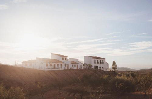 Cortijo Banana, villa rural para grupos grandes y piscina privada entre olivos - Foto 6
