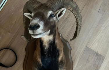 Chalet Le Yéti de Villard 14 Prs - Domaine Alpe d'Huez - Bain nordique - Foto 47