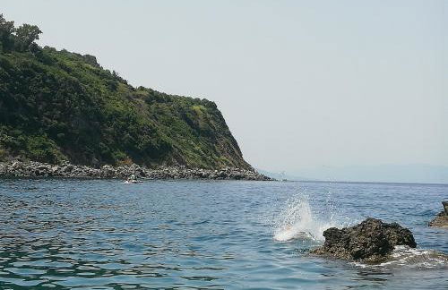 L' Agrumeto - Photo 49