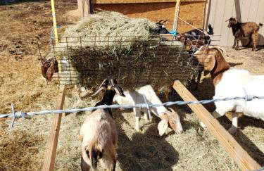 Akrofina Ranch & Grill - Foto 48