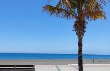 Arena Negra - Photo 41