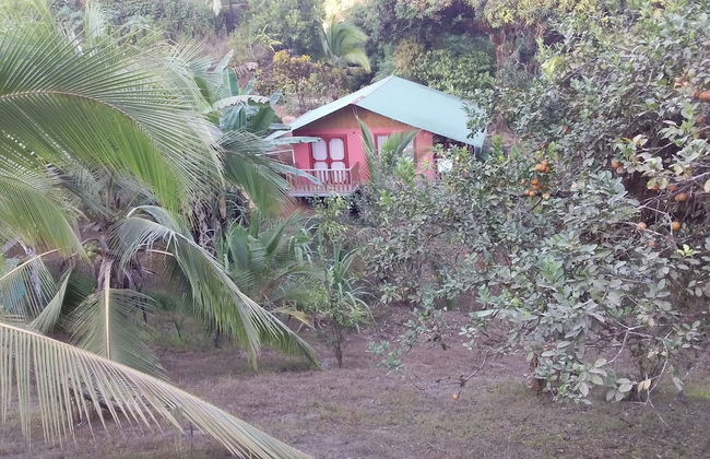 Drake Lapas - Foto 33